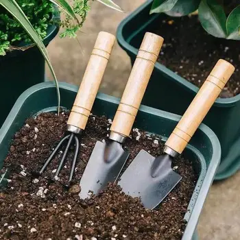 Домашни инструменти за окопаване сочни растения в градината, определени за стайни растения, лопата, за засаждане на цветя, гребло за цветя, комплект от три елемента
